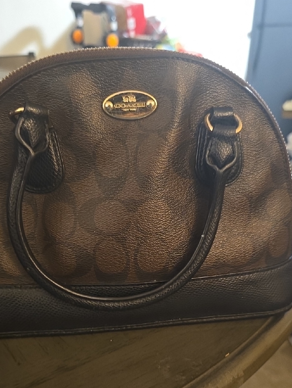 Coach mini dome